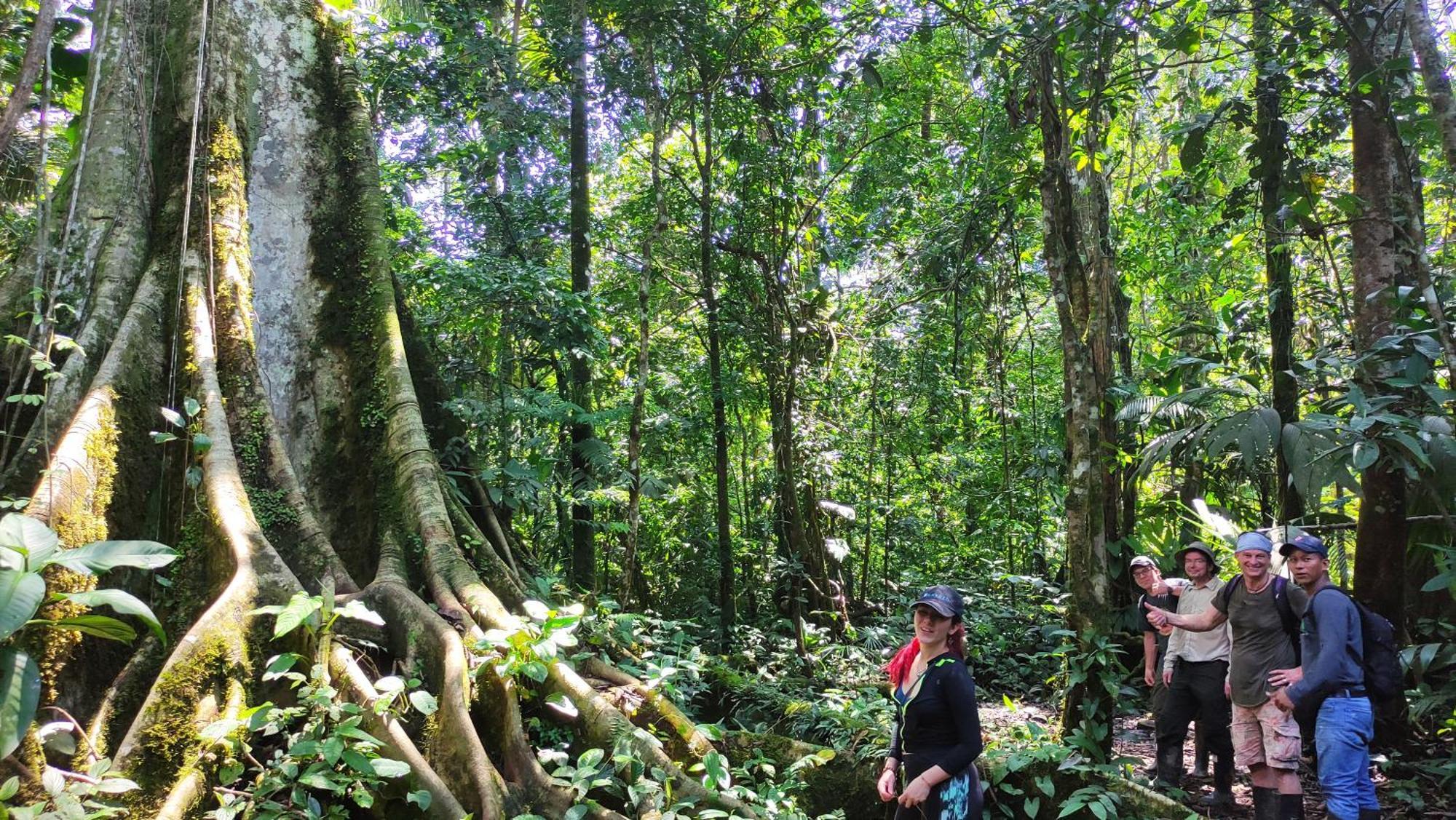 Gaia Amazon EcoLodge Ahuano Esterno foto