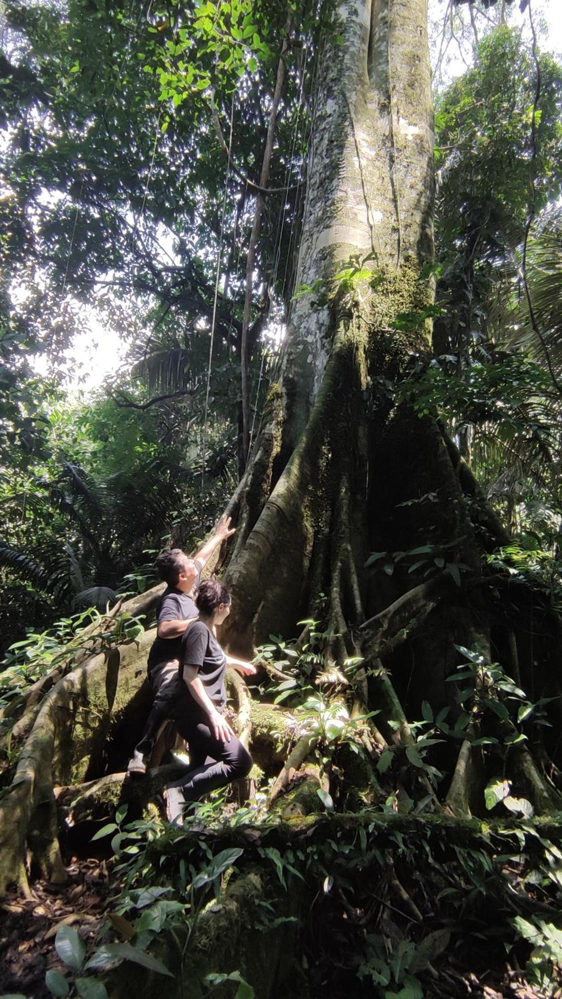 Gaia Amazon EcoLodge Ahuano Esterno foto