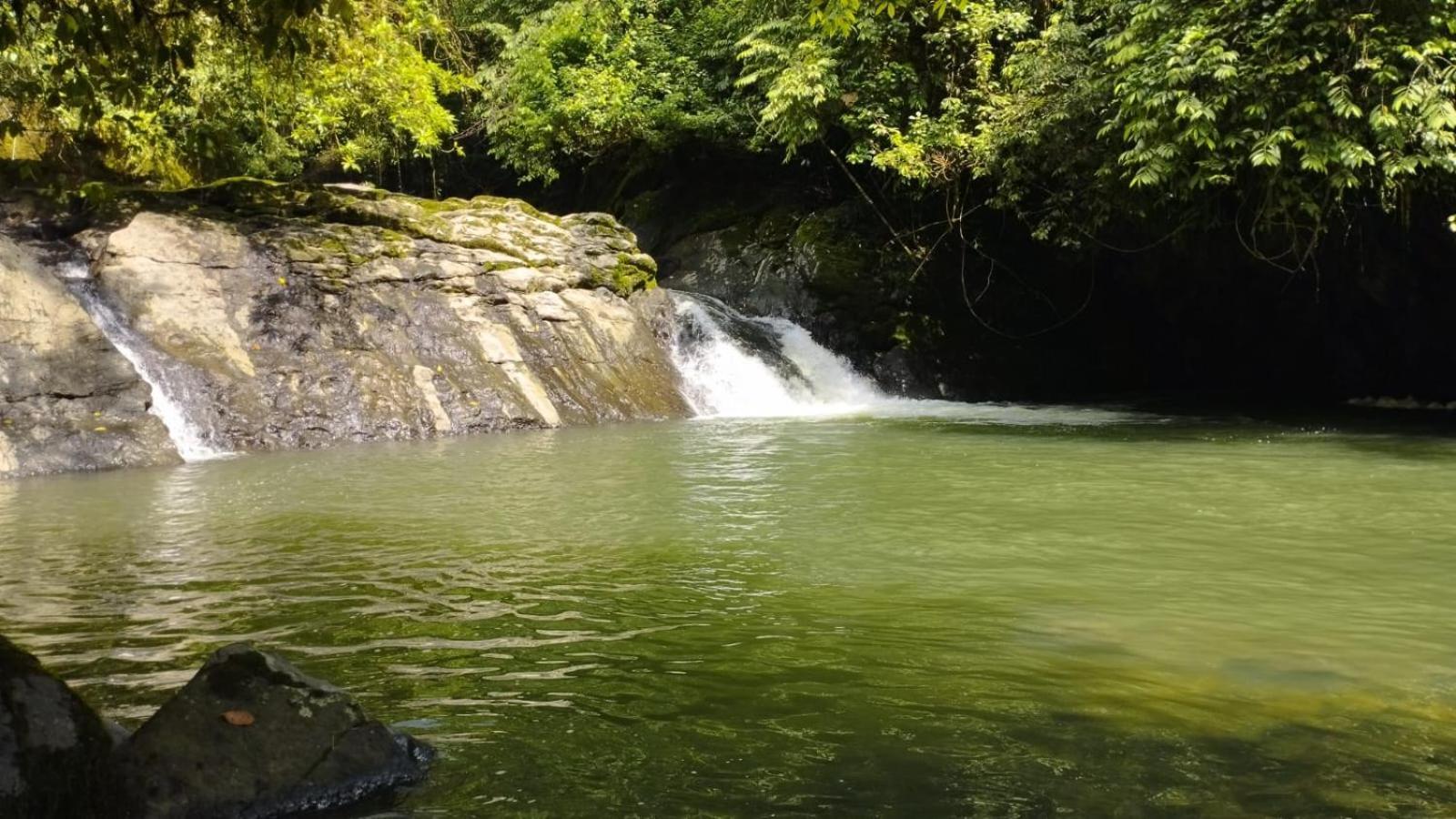 Gaia Amazon EcoLodge Ahuano Esterno foto
