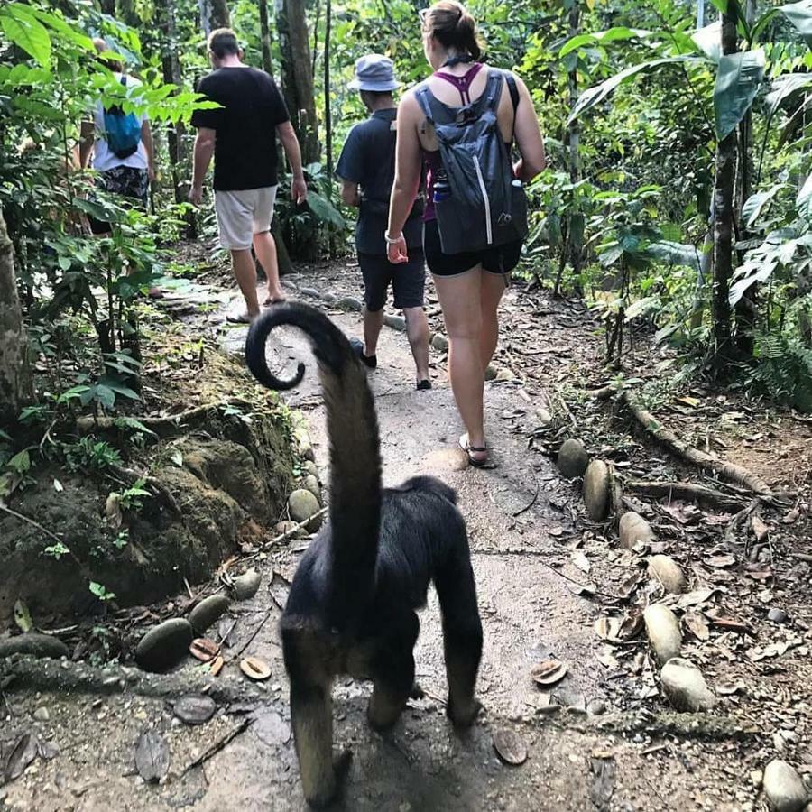 Gaia Amazon EcoLodge Ahuano Esterno foto